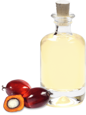 Organic palmkernel oil refined IP CU-RSPO SCC-818895