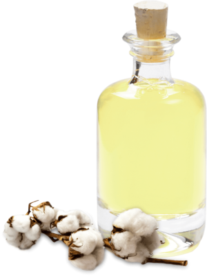 Cotton seed oil refined