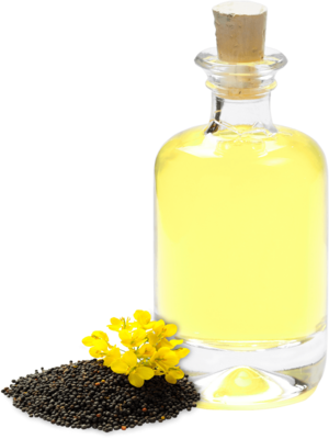 Rapeseed oil refined solvent extracted Ph. Eur.